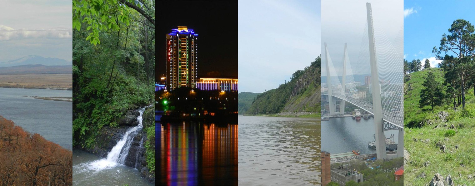 Дальневосточный кот