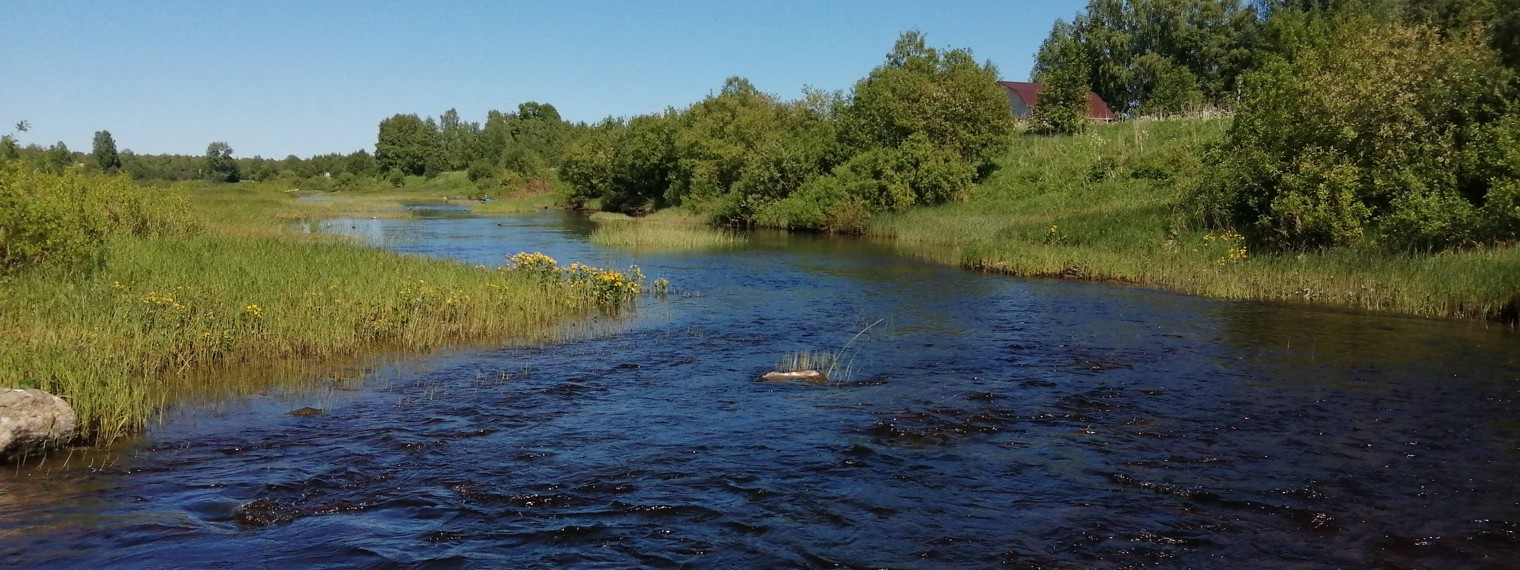 Подруга песня!! Любовь Кузнецова