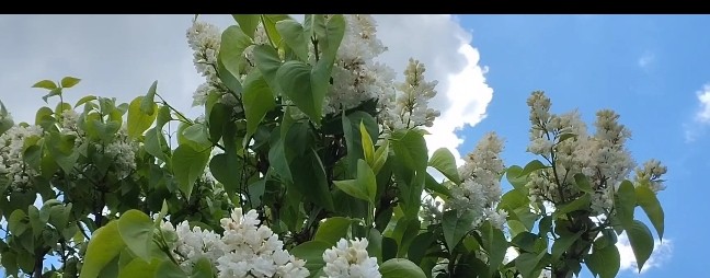 Деревенские будни.Родина Казахстан