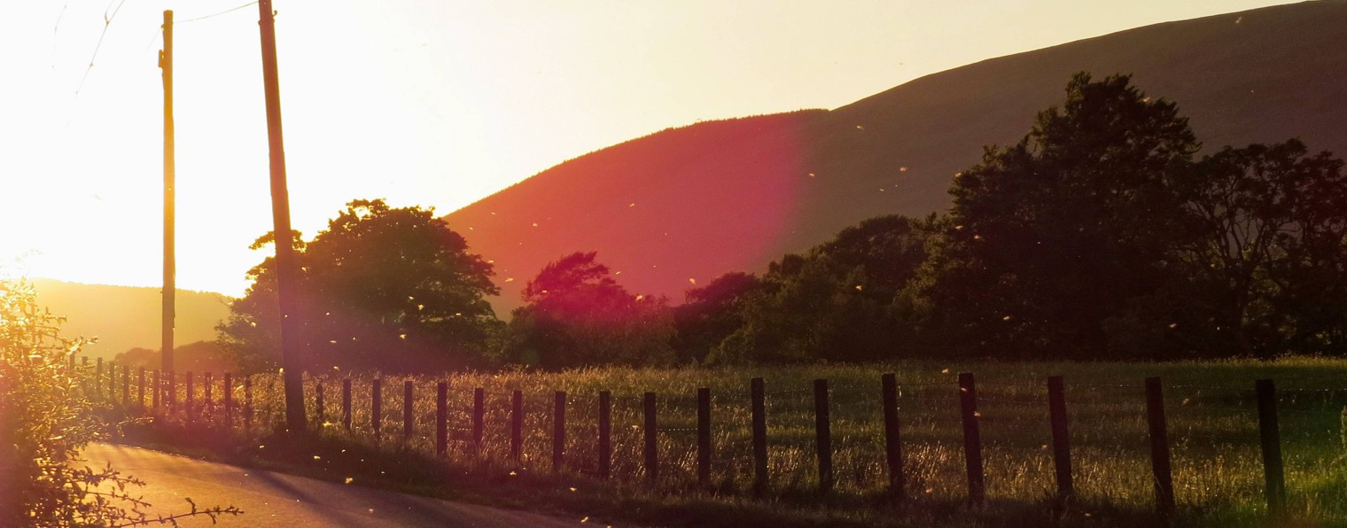 Danature