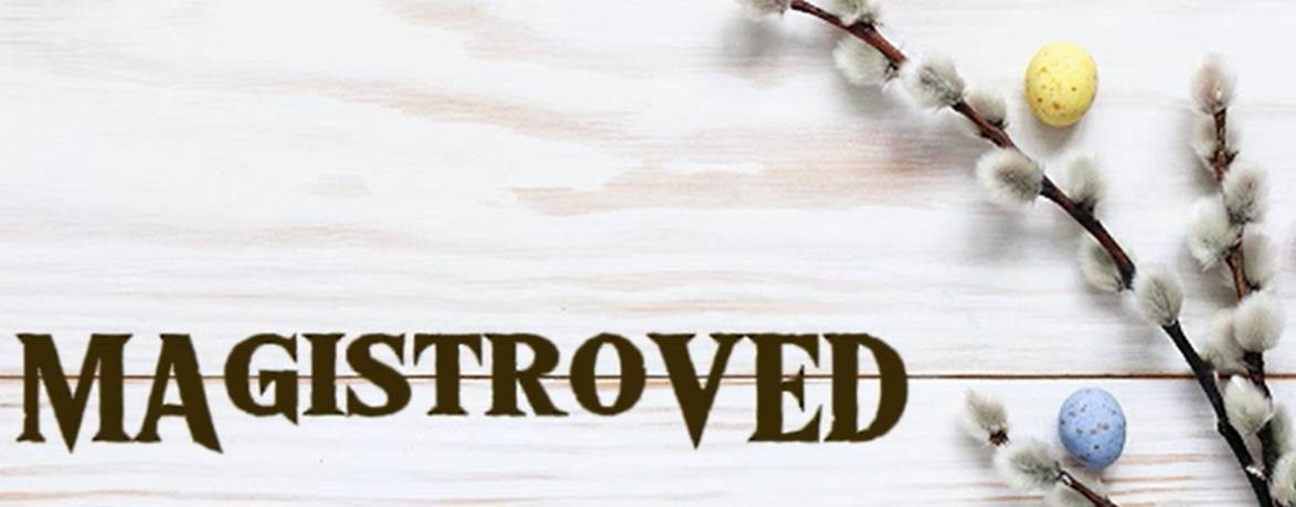 MAgistroVED