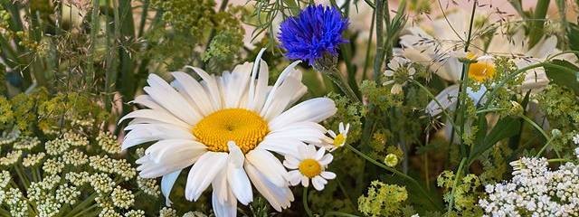 ВДОХНОВЕНИЕ