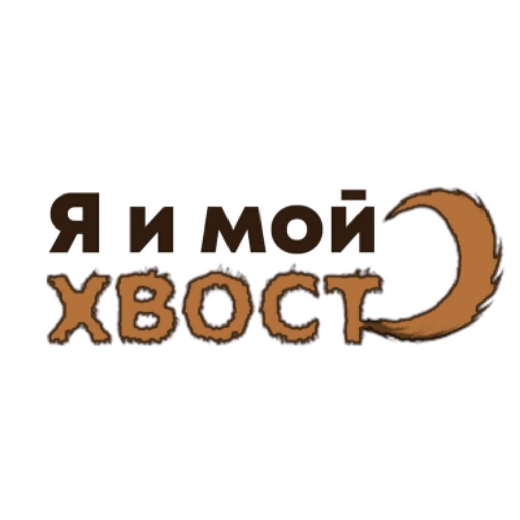 Пятачок входит и выходит. Белка и кот. Забавные позы кошек. Не трожь мой хвост. Я и мой хвост.