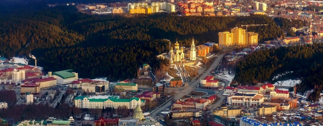 перелётная утка