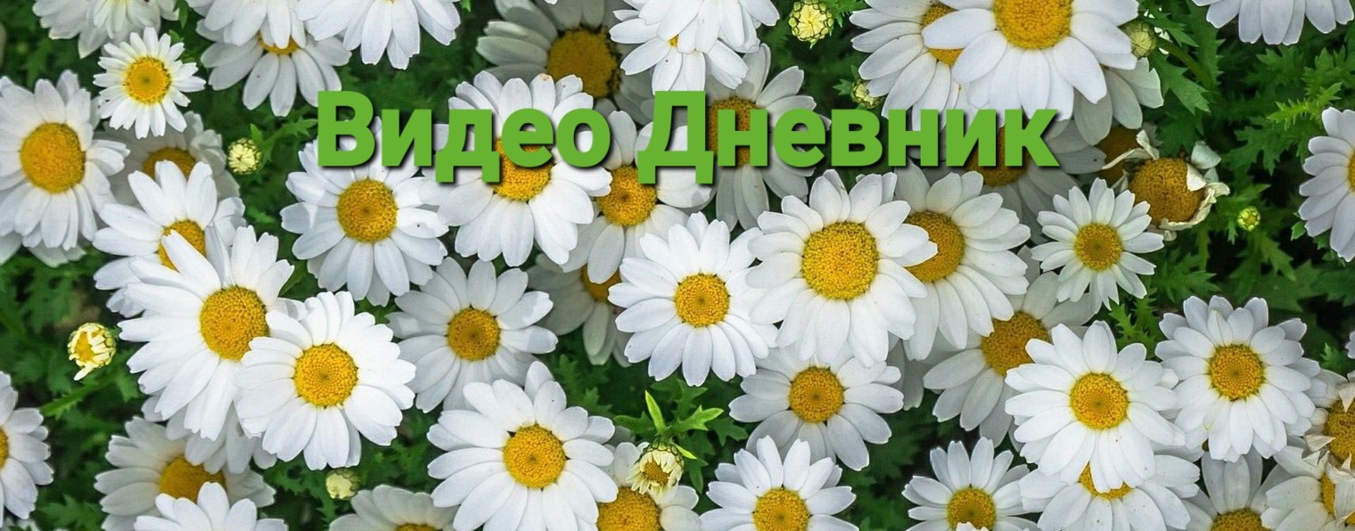 Тома & Вова