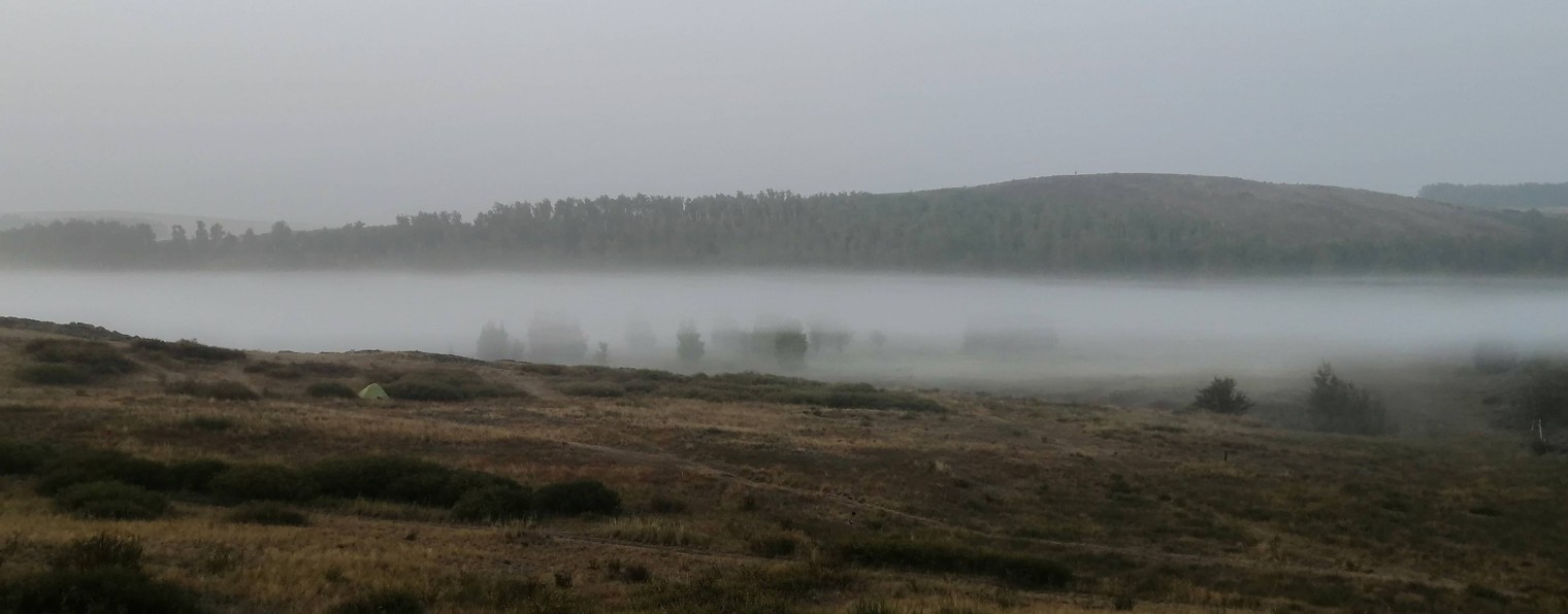 Дмитрий сулей фото