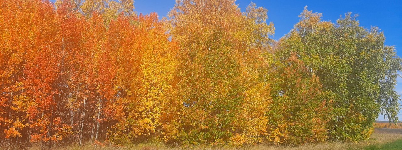 ТАТЬЯНА 30 СЕНТЯБРЯ