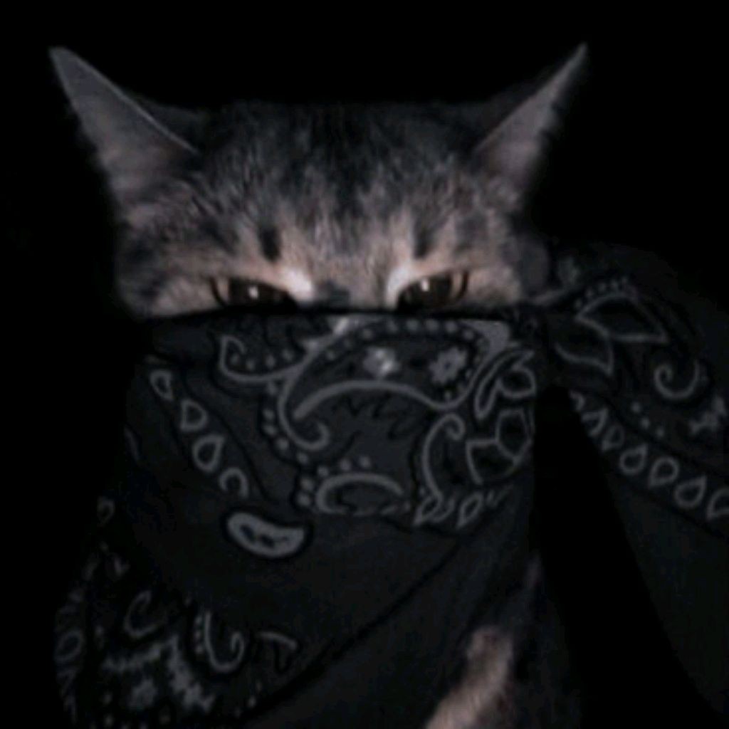 zizik