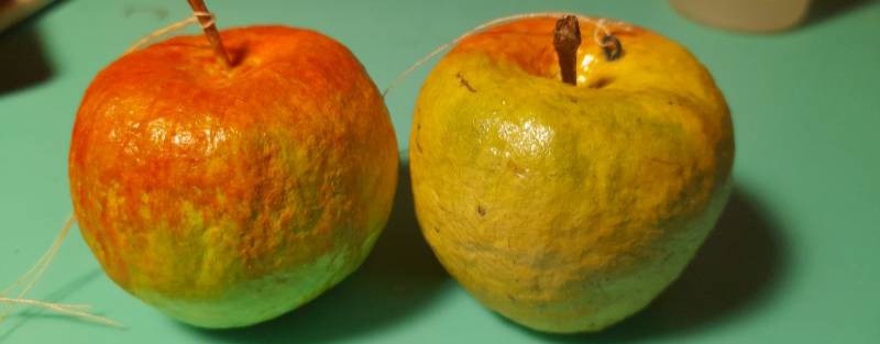 Ольга КуклАтель (KuklAtel)