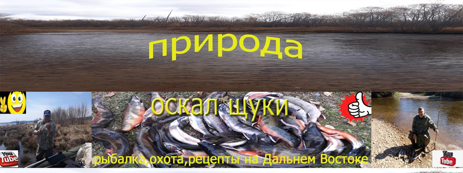оскал щуки