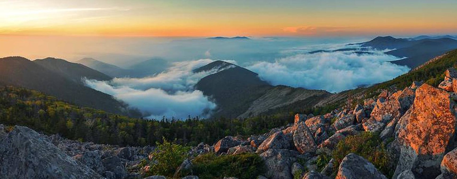 Андрей Приморский