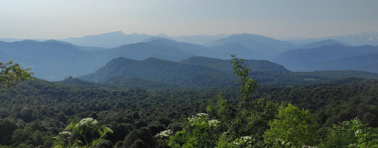 Кафедра общей геологии и геодинамики ВГУ