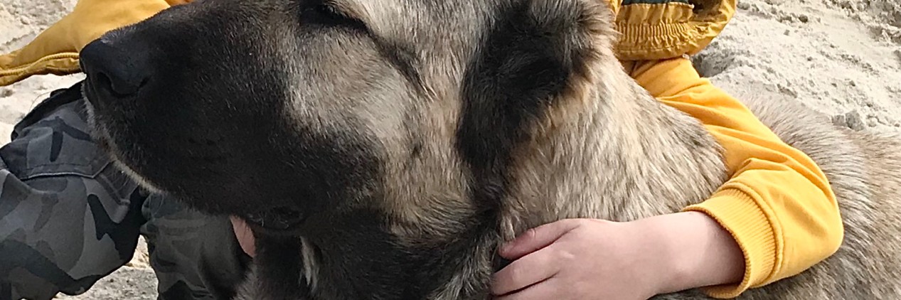 ГАМПР ТИТАН V&S ИМПЕРИЯ ТИТАНОВ