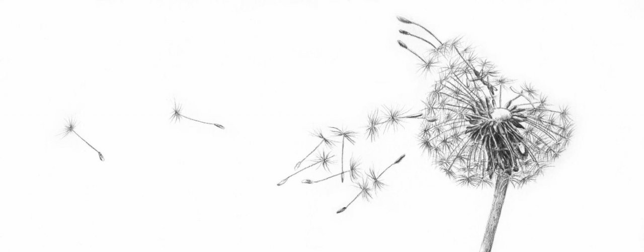 Информационный Центр "ПАРУС" МОУ "СОШ №3 "