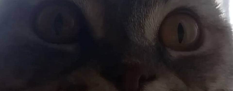 Города России