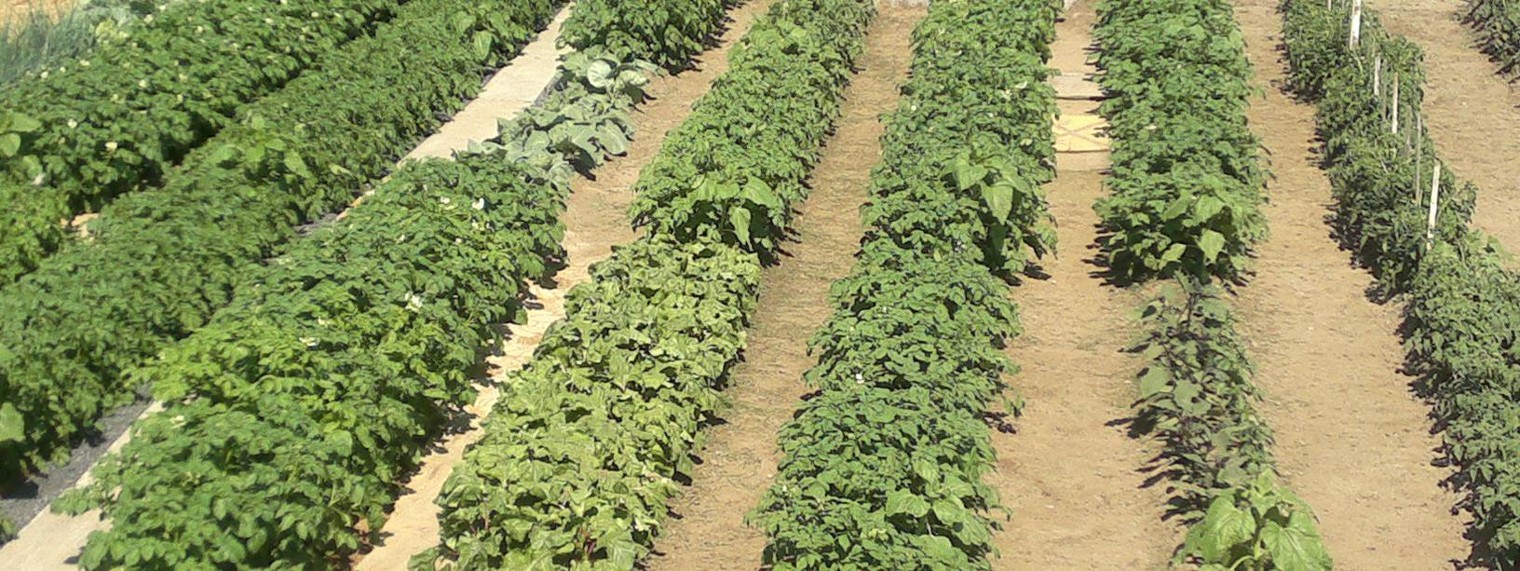 Метод Митлайдера в зоне рискованного земледелия