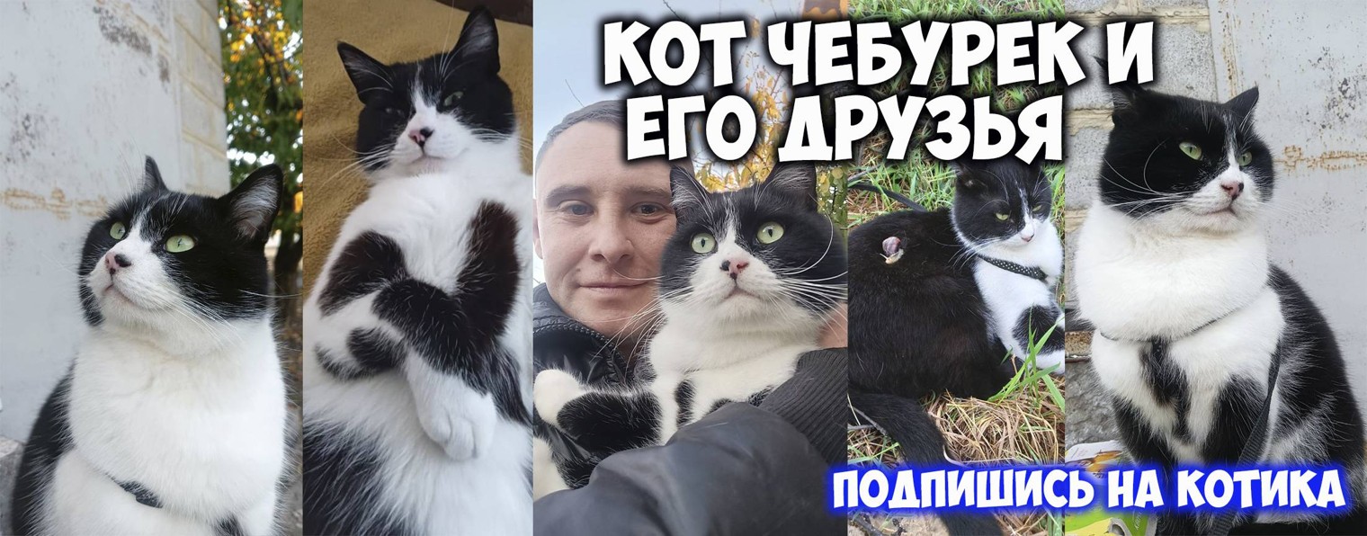 Кот Чебурек и его друзья