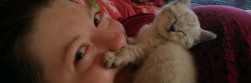 Котейкино царство