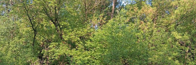 Анастасия Д