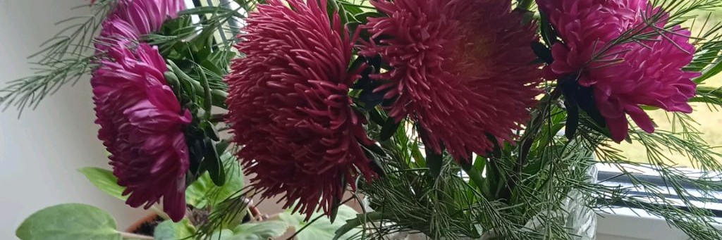 Магия жизни