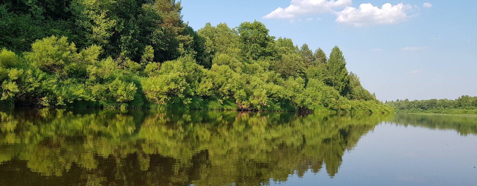 MichaelAngello Studio