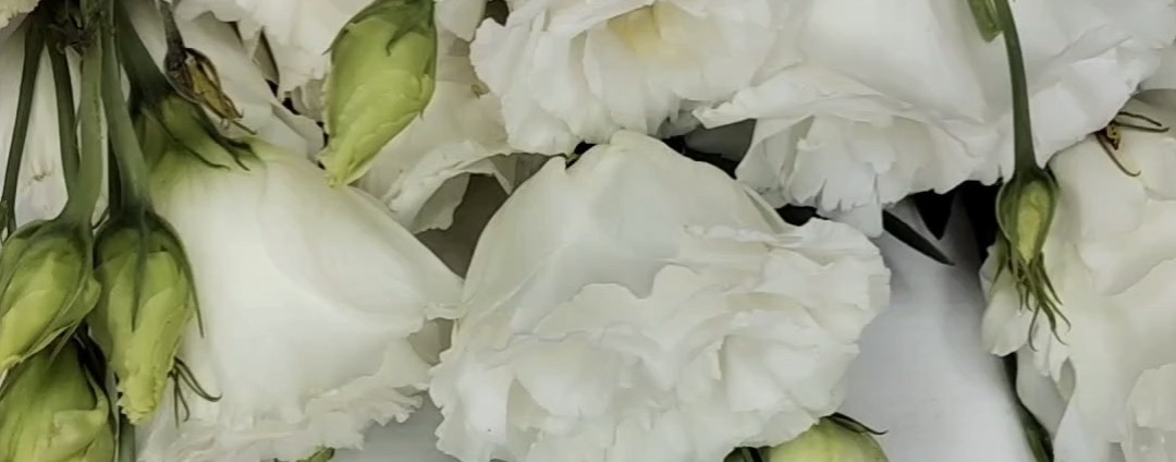 Наталья Оборина