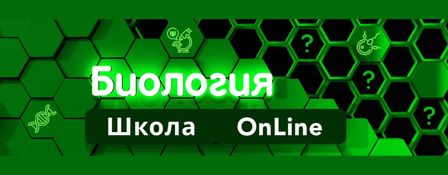 БИОЛОГИЯ ШКОЛА OnLine