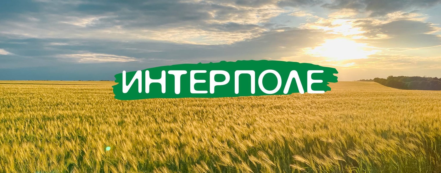 ИНТЕРПОЛЕ. 8-800-700-18-17