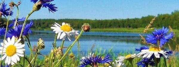 "Две ДУШИ' Дмитрий и Татьяна