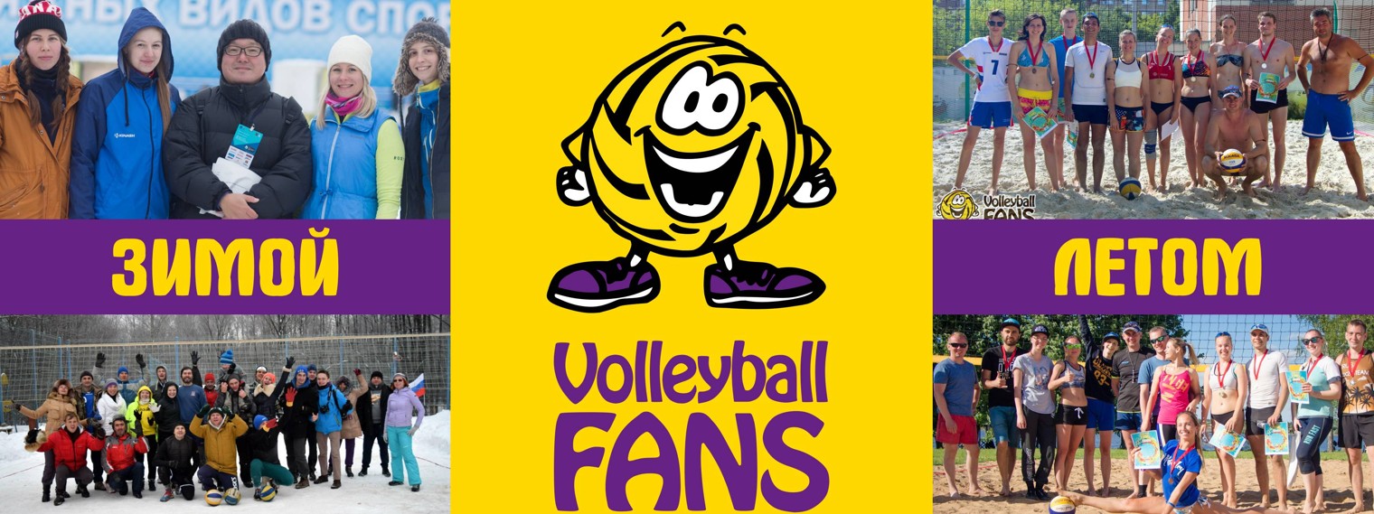 Volleyball Fans