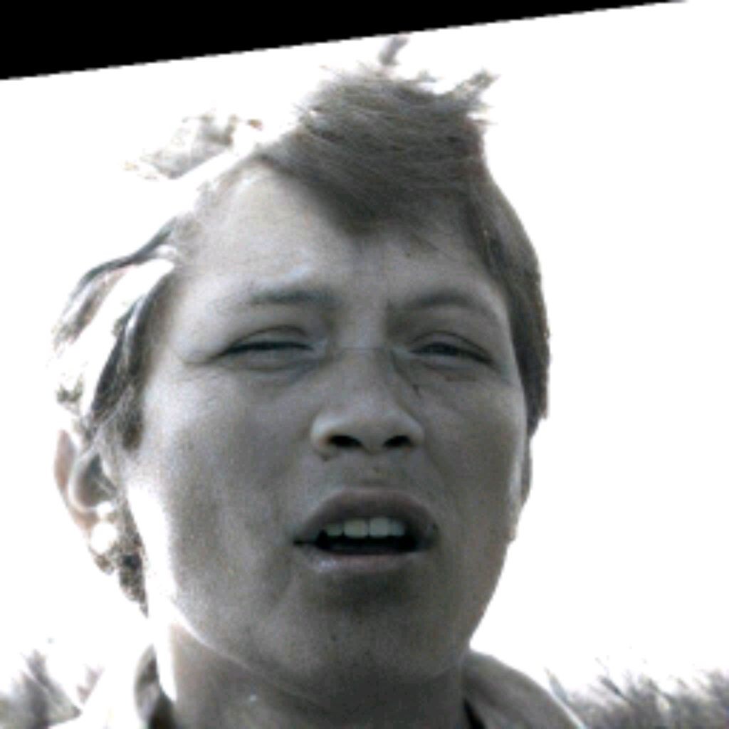 ВОРОНЕЖСКИЕ ИСТОРИИ. VORONEZH STORIES.