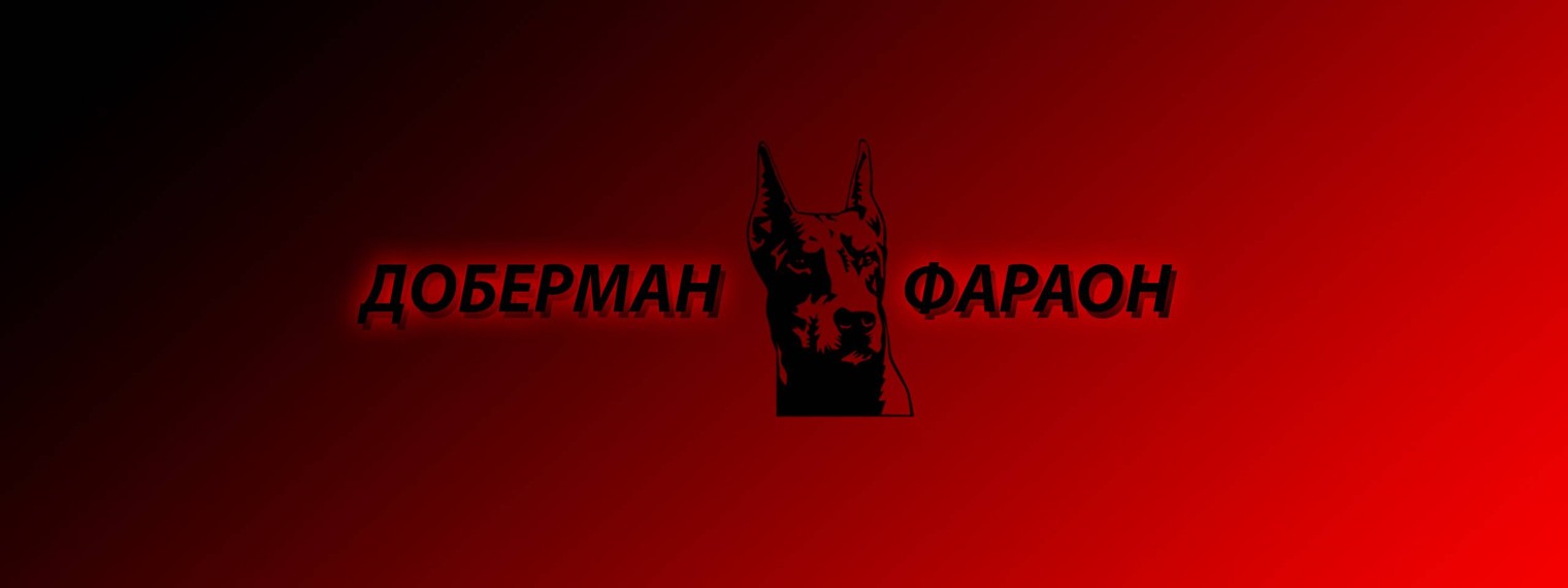 Доберман Фараон
