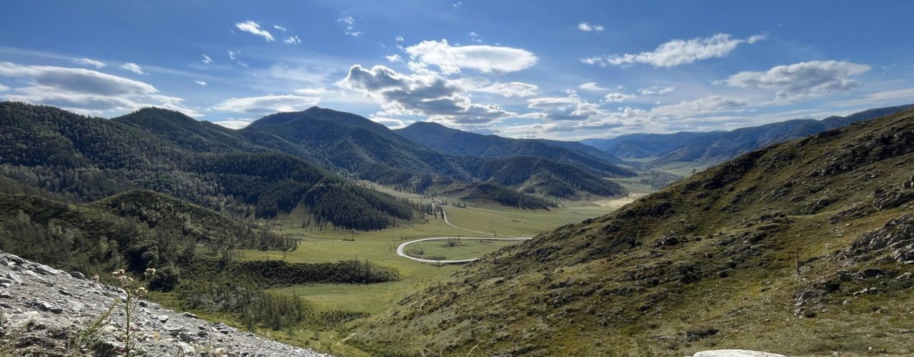 Бородатый перегон