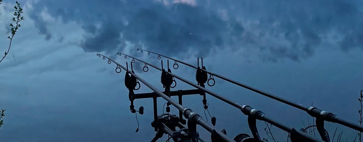 Поедем, поУДИМ