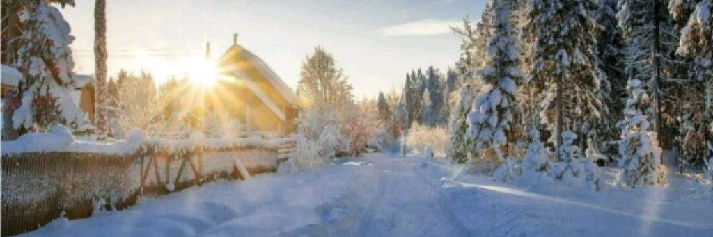 Семья Вайнеров