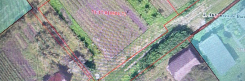 Домовёнок Кузя