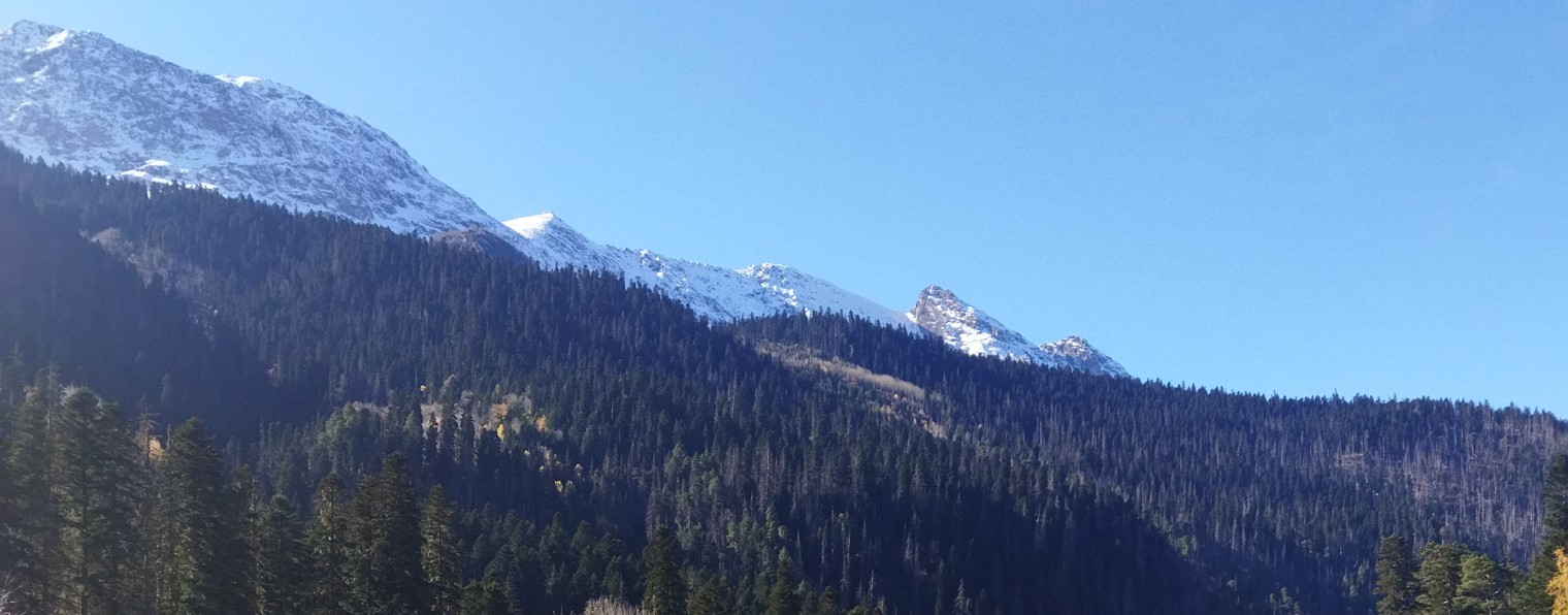 Татьяна Котова. Жизнь в доме.