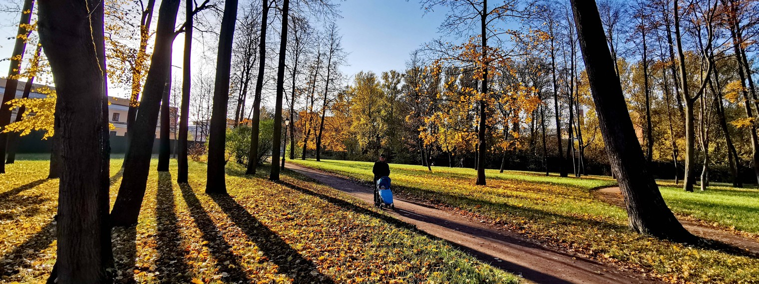Сергей Широков