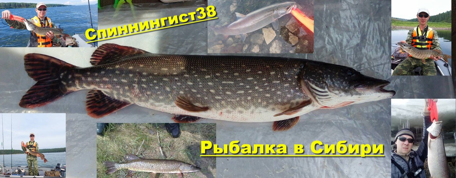 Спиннингист38