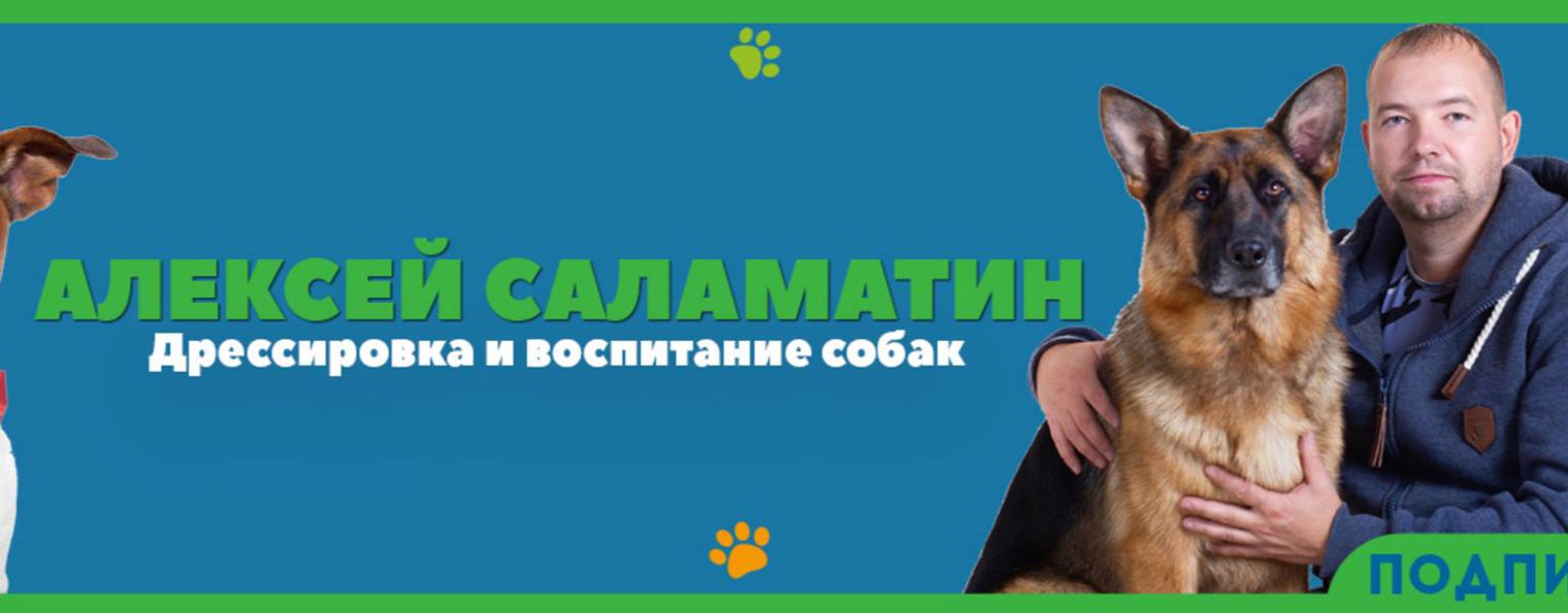 кинолог Алексей Саламатин