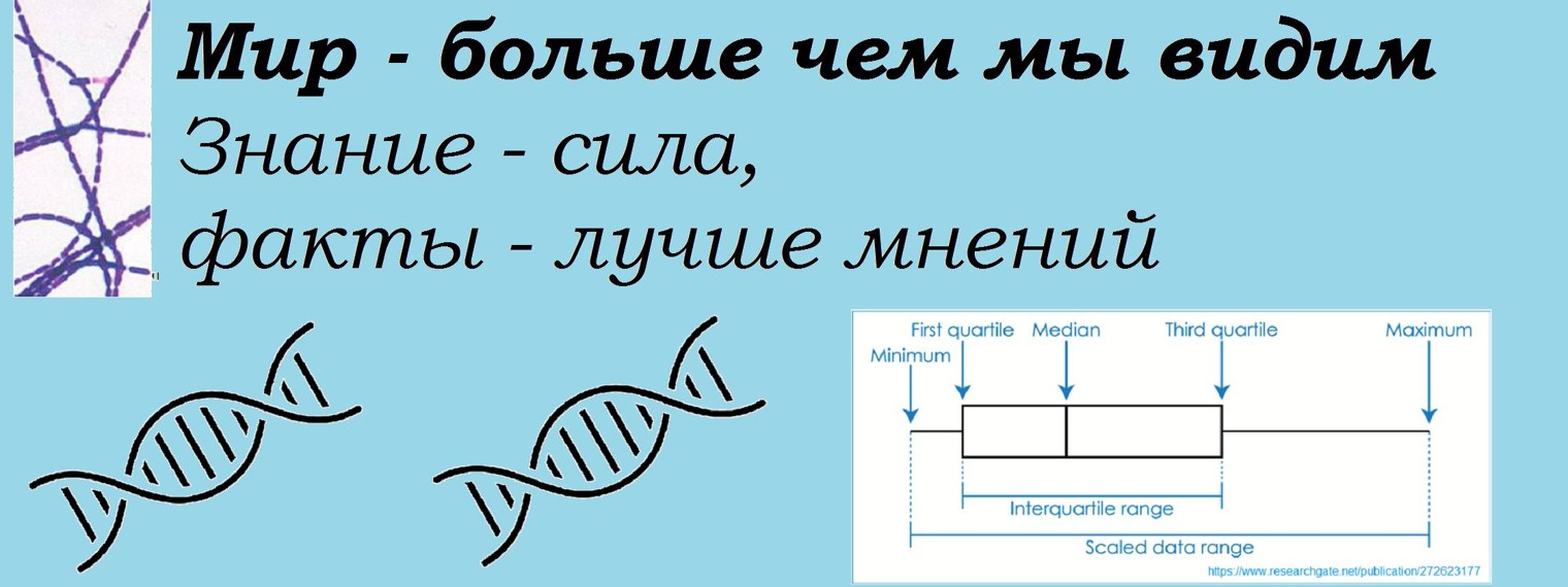 Данила Зорников