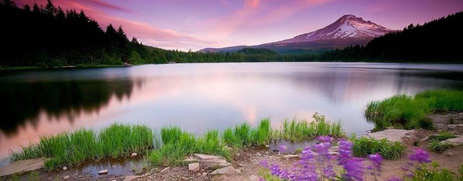 Relax Nature