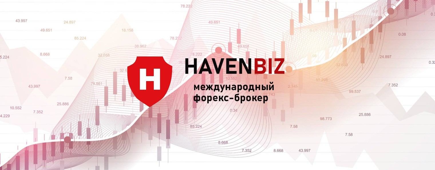 Haven Biz - официальный RuTube канал брокера