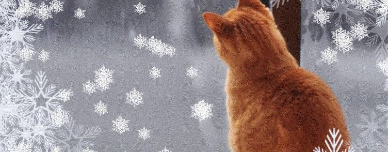 2 весёлых Гуся