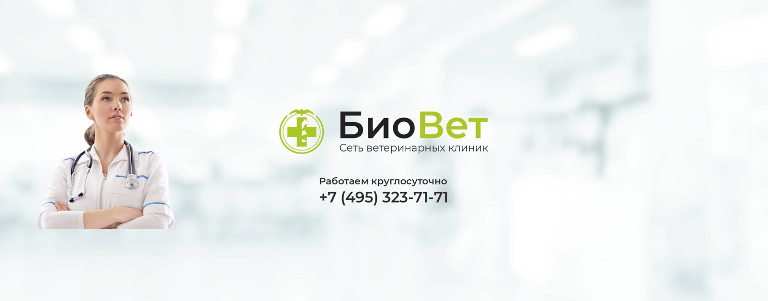 БиоВет / сеть ветеринарных клиник