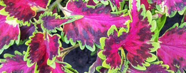 КрасотаОфлайн