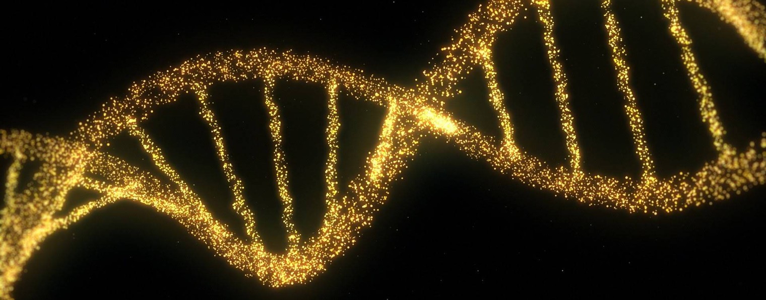 Желтый ген. Золотые нити ДНК. Золотой геном ДНК. Золотая молекула ДНК. ДНК золотистого цвета.