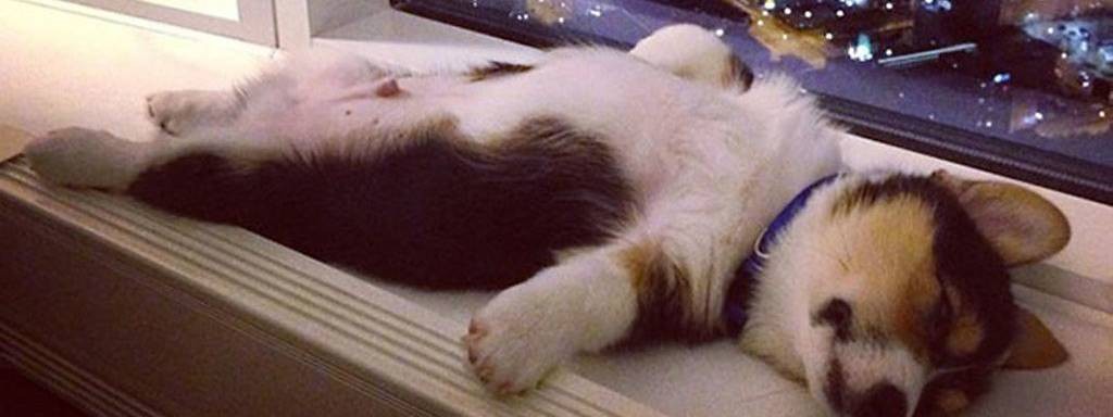 ﹤﹤﹤Музыка для сна ﹥﹥﹥﹥