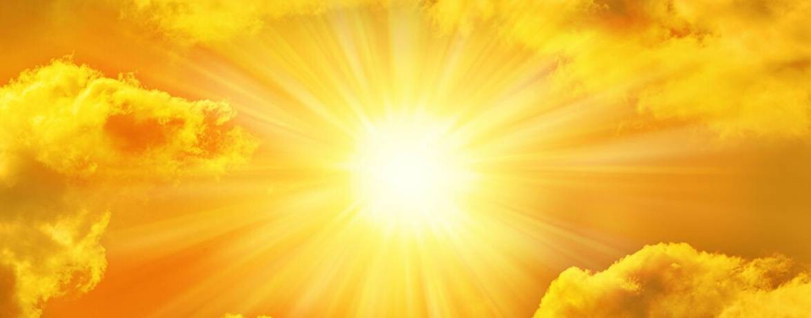 Музыкант_ЯР