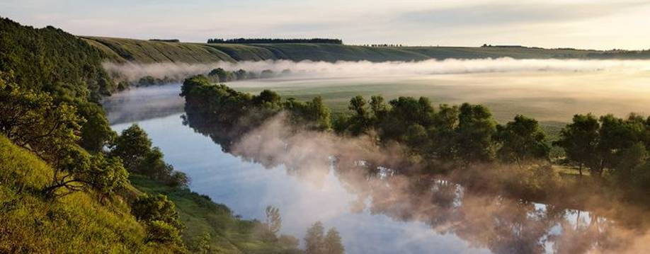 Ни пуха Ни хвоста